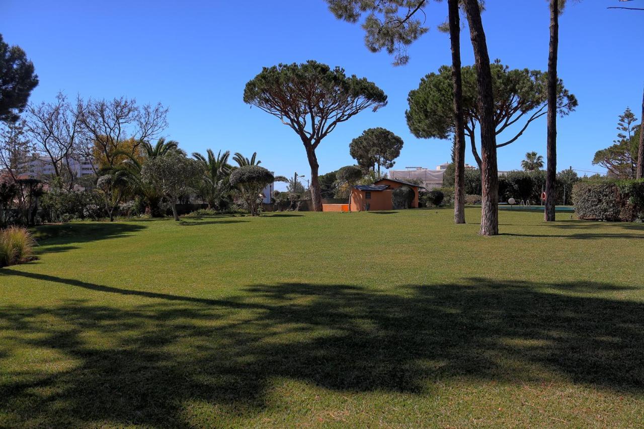 Casa Da Palmeira, Pool & Soccer Pitch Виламура Экстерьер фото